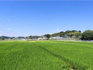 綾瀬市内の田園風景