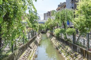 川崎市高津区