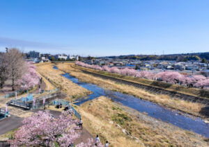 南足柄市の風景