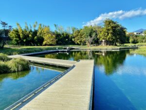 中井町 厳島湿生公園